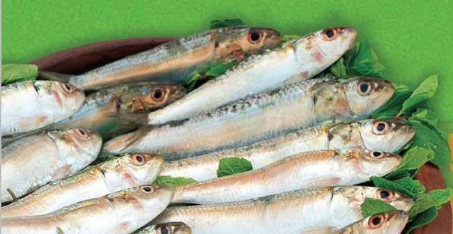 Special Kerala Sardine / Mathi